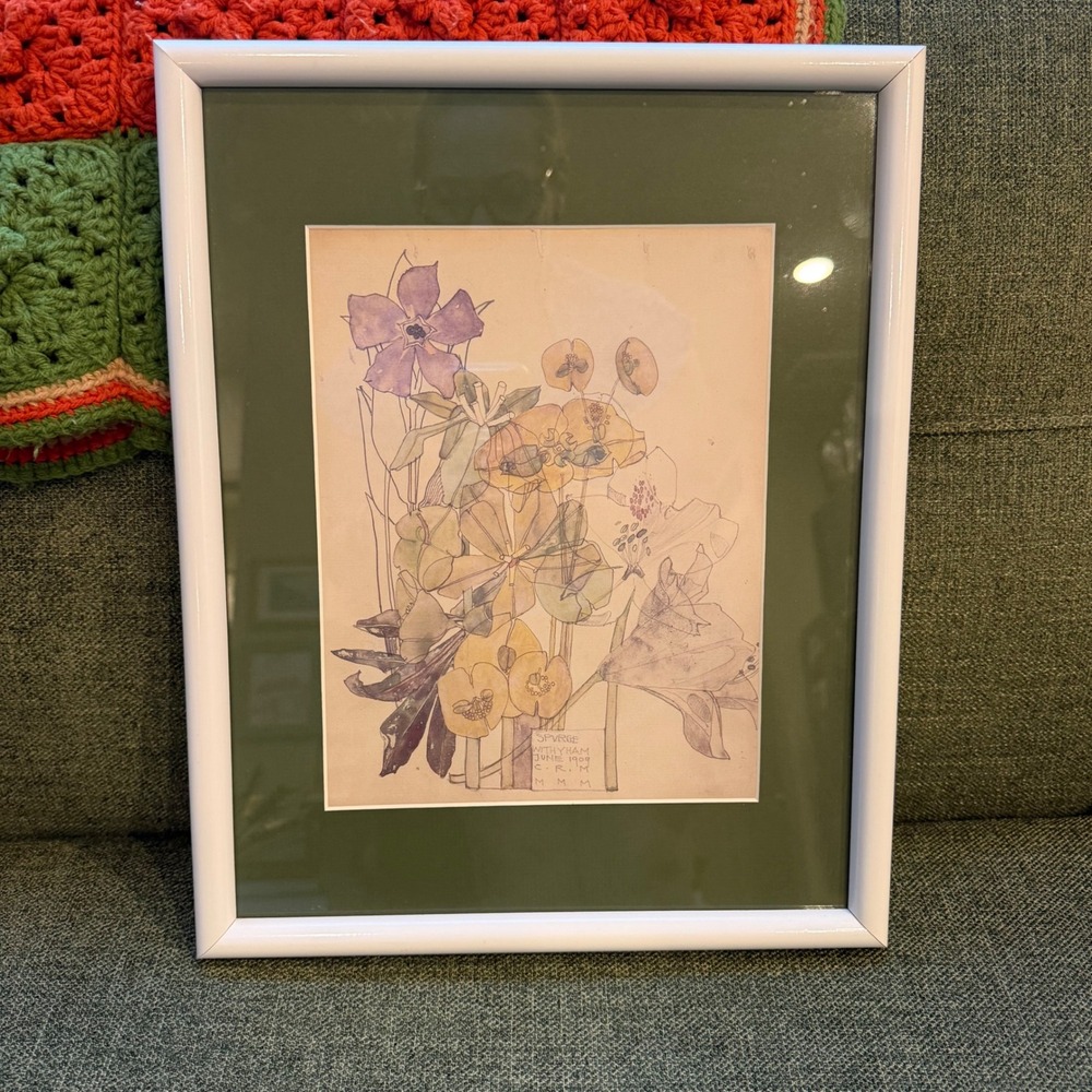 Vintage 1909 Spurge Withyham Botanical Watercolor Print CRM Framed Art 11x14